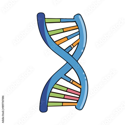 Colorful DNA double helix molecule structure cartoon icon