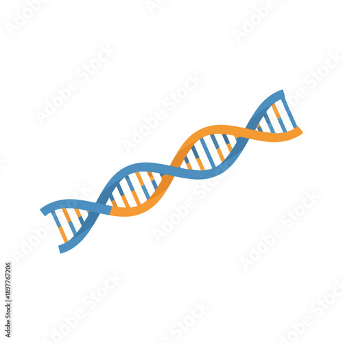 Simple DNA Double Helix Strand Science Icon