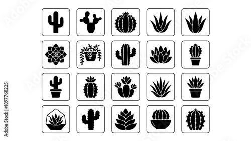 Collection of Various Cactus and Succulent Plant Icons.