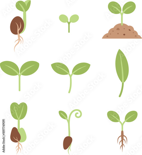 Set of flat vector illustrations showing plant growth stages from seeds to seedlings isolated on white background collection,