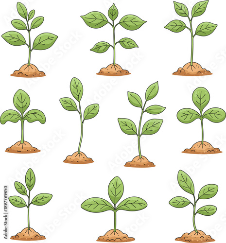 Set of hand drawn seedling icons growing in soil isolated on white background green plant vector illustration,
