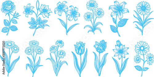  collection of botanical drawings that beautifully showcase a variety of flowers, rendered in a light blue color against a crisp white background. This color choice creates a fresh and airy aesthetic,