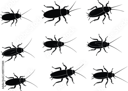 Cockroach silhouettes, insect vector, pest control illustration, entomology drawing, black and white art, insect design, educational material, cad drawing flat vector illustration
