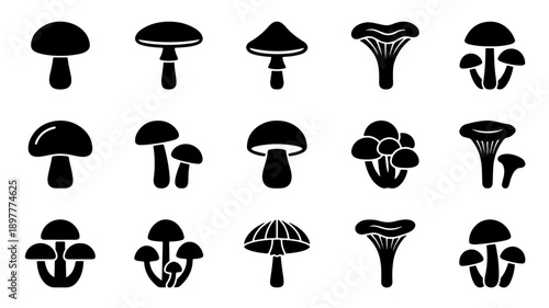 Collection of Various Mushroom Silhouettes Isolated on White Background.