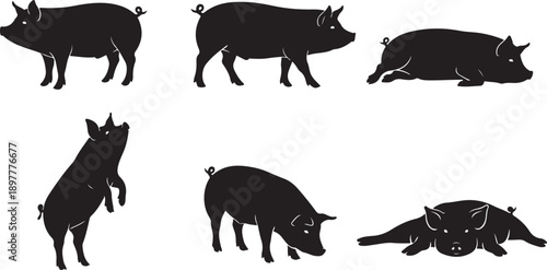 Diverse black silhouette illustrations of pigs in various dynamic and relaxed postures Vector