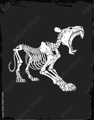 Roaring Tiger Skeleton In White On Dark Background. Vector Illustration, Suitable for T-shirt Design