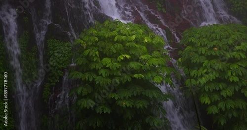 Banyu Wana Amertha Waterfall Flowing Through Lush Tropical Jungle in Fog, Bali, Indonesia