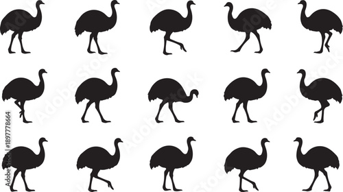A collection of stylized silhouettes depicting various orientations of an ostrich in monochromatic black design Vector
