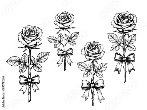 Single rose bouquet engraving illustration for Valentine branding