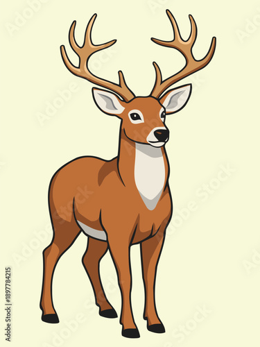 Standing White-Tailed Buck with Large Antlers in Flat Style Vector Illustration