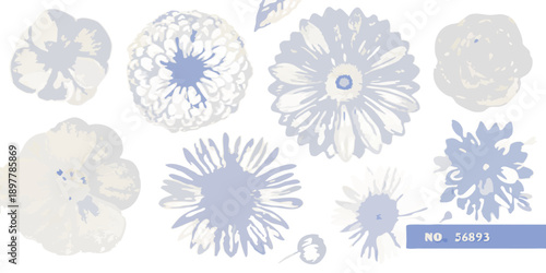 An artistic arrangement of textured floral inspired shapes on a dark background