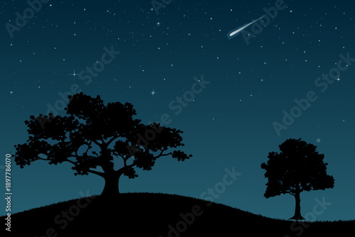 A dark night scene featuring silhouetted trees and a shooting star