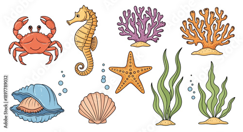 Colorful cartoon illustration of various marine animals and plants including a crab, seahorse, starfish, shells, coral, and seaweed, with bubbles.