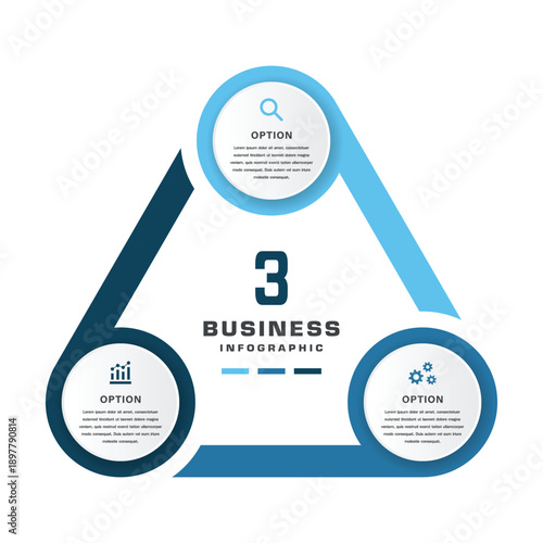 Triangle Business Infographic with 3 Options for Presentation