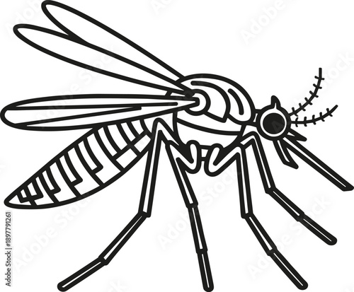 Mosquito line art vector illustration