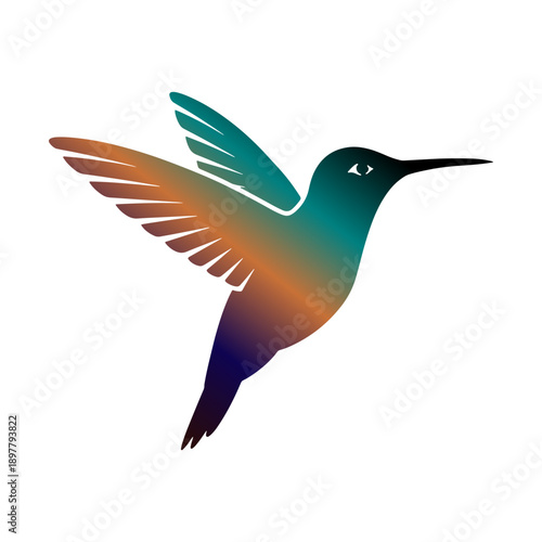 Colorful hummingbird silhouette with vibrant gradient flying isolated on white
