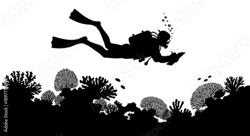 Scuba diver exploring coral reef with diverse marine life underwater