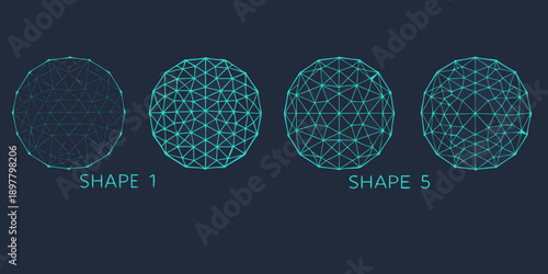 Four evolving egg shapes constructed from interconnected lines and nodes