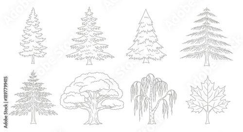 A collection of eight detailed line art drawings showcasing various tree types, including coniferous and deciduous species like pine, oak, and willow.