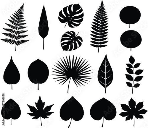 Botanical leaf silhouette illustration vector set with tropical, forest, and decorative plant shapes for nature design, logo creation, and modern graphic backgrounds