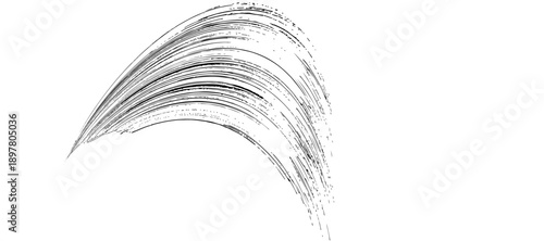 Elegant Black Brush Stroke Arc Abstract Art for Modern Design and Visual Accent feather-like design on a plain background.