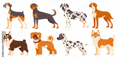 Cartoon illustration of various dog breeds standing in a row