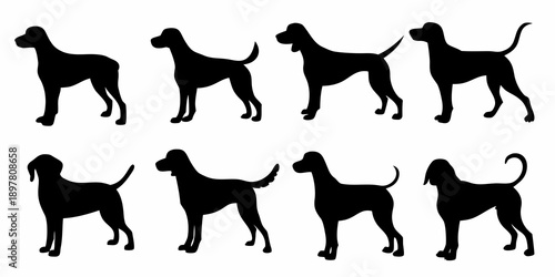 Silhouettes of great dane dogs in various walking and standing poses