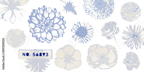 Collection of abstract floral shapes and geological specimens on black