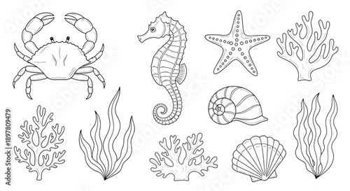 Outlined marine life collection featuring various sea creatures and underwater plants.