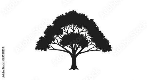 A stark black silhouette depicts a large mature tree with a full canopy against a white background