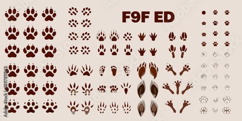 Animal footprints and tracks displayed in varying sizes and shapes