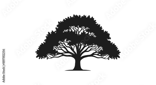 A striking silhouette of a lush full tree with dense foliage against a plain white background high quality