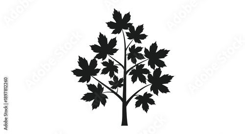A striking black silhouette depicts a flourishing maple tree with many leaves showcasing natural elegance high quality professional