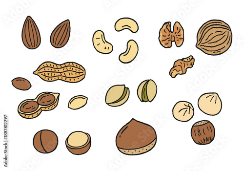 いろんなナッツの手描きイラストセット