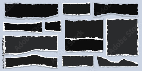 Collection of torn paper scraps with jagged edges on a light background