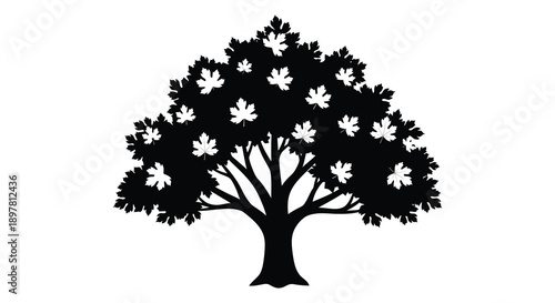 A striking black and white silhouette of a mature tree with dense foliage and intricate branching patterns high quality professional