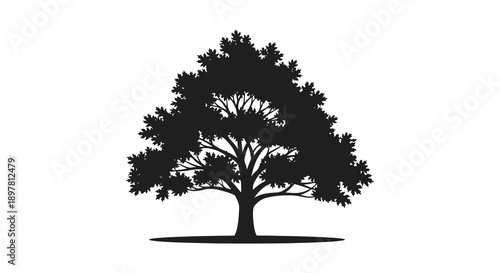 A striking silhouette of a lush full tree with dense foliage stands against a stark white background
