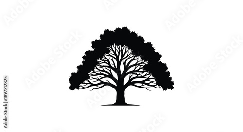 A striking silhouette of a mature tree with dense foliage and intricate branching patterns against a white backdrop