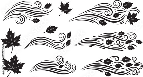 Autumn leaves and wind swirls in black and white