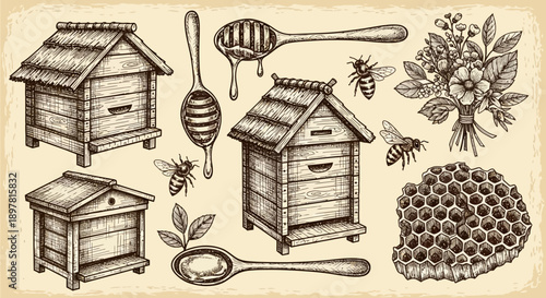 Vintage Etching Style Beekeeping Set: Hand Drawn Honey Elements Collection with Beehives, Honeycomb, Dippers, and Bees.