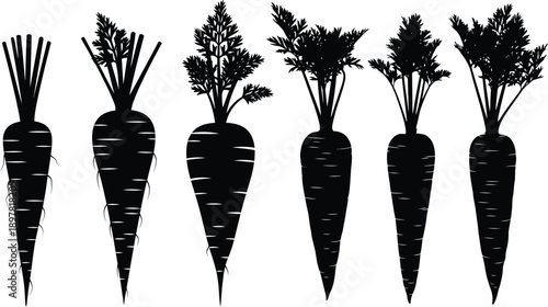A variety of stylized carrots with leafy tops in a black and white illustration isolated on white background