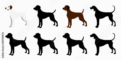 Stylized depictions of dogs in various colors and silhouettes