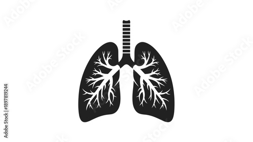 Human Lungs Anatomy Icon - Respiratory System Silhouette