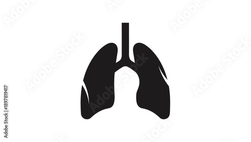 Human Lungs Anatomy Black Silhouette Icon on White Background