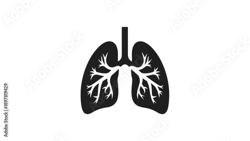Human Lungs Icon with Bronchi Anatomy Black and White Medical Symbol