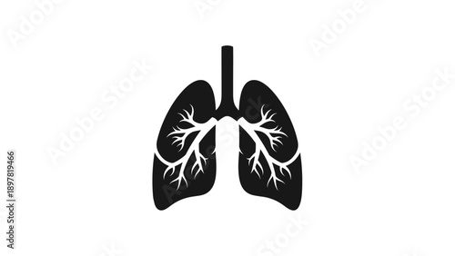 Human Lungs Anatomy Icon on White Background