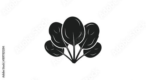 A stark black and white illustration depicts a cluster of rounded leaves resembling a simplified botanical study high quality professional