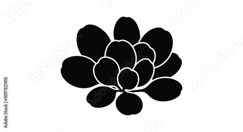 A striking black silhouette depicts a blossoming flower with rounded petals creating a simple yet elegant design