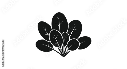 A monochromatic illustration depicts a cluster of leaves possibly mint or a similar herb against a white background