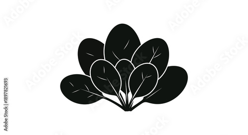 A striking black and white illustration depicts a cluster of stylized leaves resembling a floral or botanical design high quality